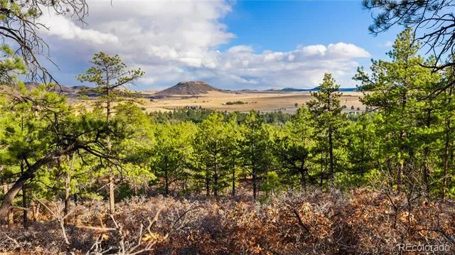 436 Fox Farm Road Larkspur, CO 80118