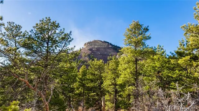 436 Fox Farm Road Larkspur, CO 80118