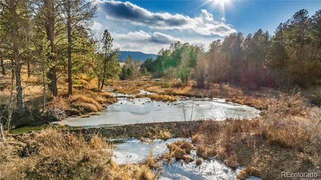 436 Fox Farm Road Larkspur, CO 80118