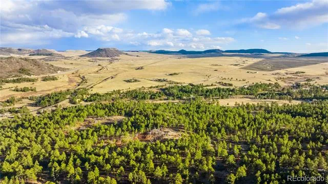 436 Fox Farm Road Larkspur, CO 80118