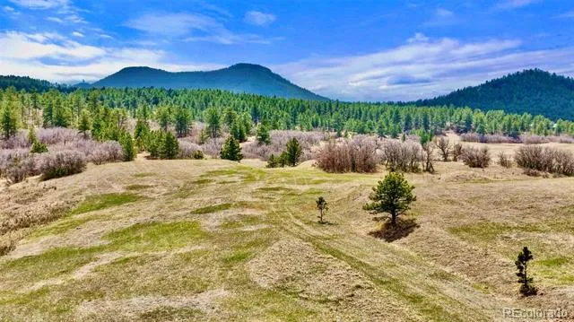 1 S Perry Park Road Larkspur, CO 80118