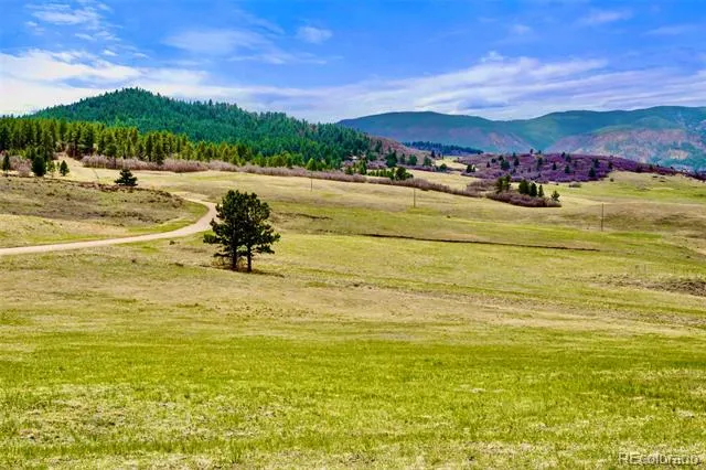 1 S Perry Park Road Larkspur, CO 80118