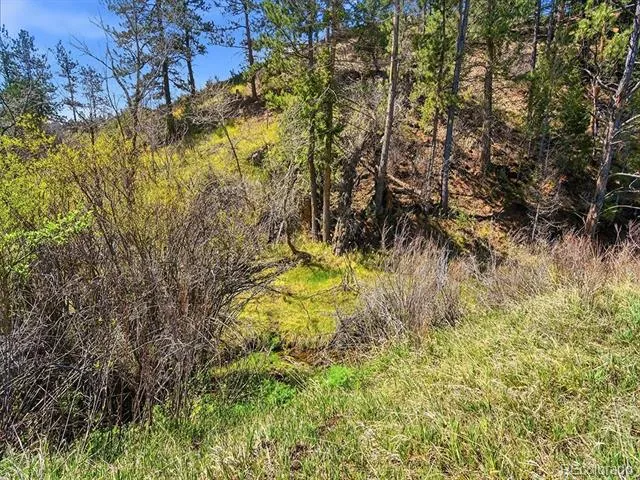 2830 Kerr Gulch Road Evergreen, CO 80439