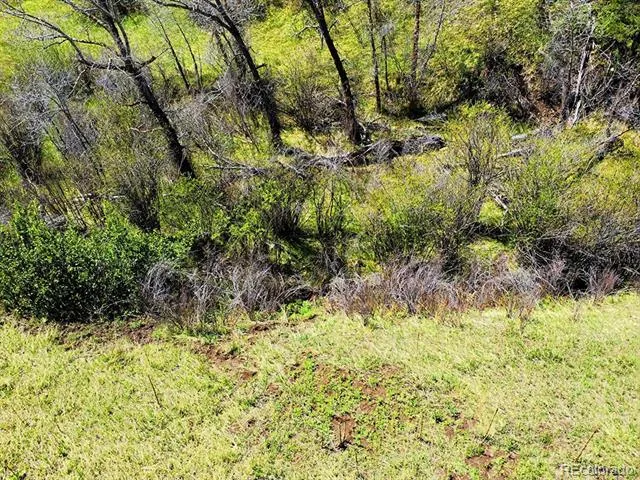 2830 Kerr Gulch Road Evergreen, CO 80439