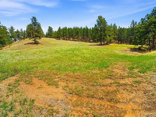 2830 Kerr Gulch Road Evergreen, CO 80439
