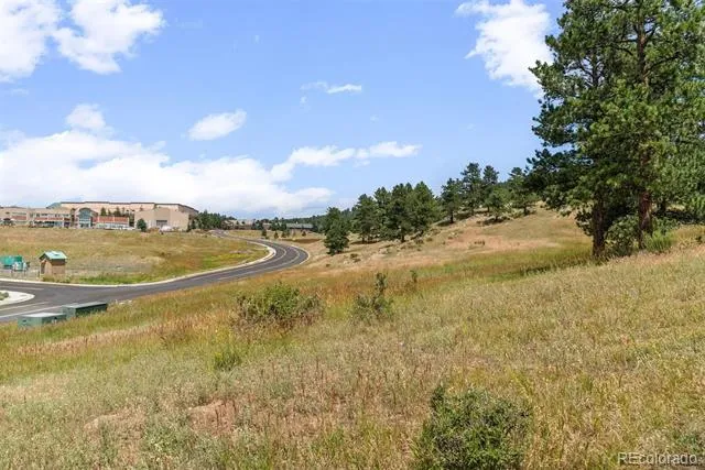 1162 Swede Gulch Road Evergreen, CO 80439