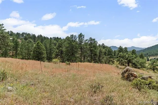 1162 Swede Gulch Road Evergreen, CO 80439