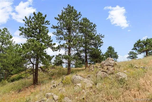 1162 Swede Gulch Road Evergreen, CO 80439