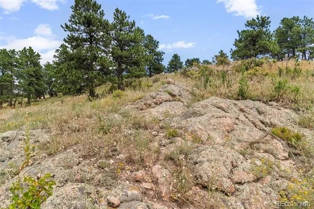 1162 Swede Gulch Road Evergreen, CO 80439