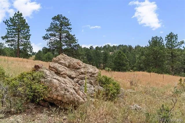 1162 Swede Gulch Road Evergreen, CO 80439