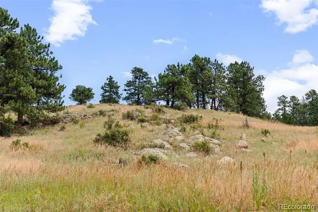 1162 Swede Gulch Road Evergreen, CO 80439