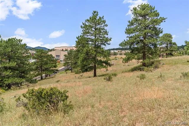 1162 Swede Gulch Road Evergreen, CO 80439