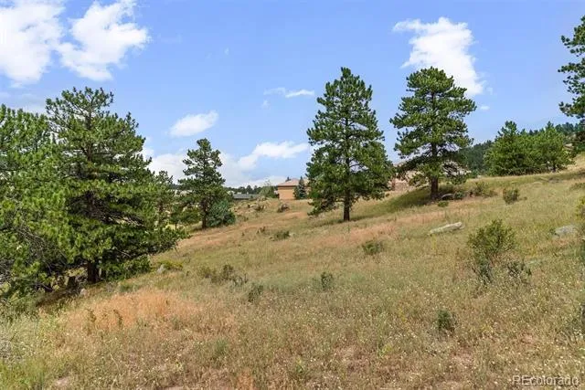 1162 Swede Gulch Road Evergreen, CO 80439