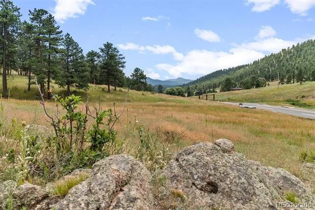 1162 Swede Gulch Road Evergreen, CO 80439