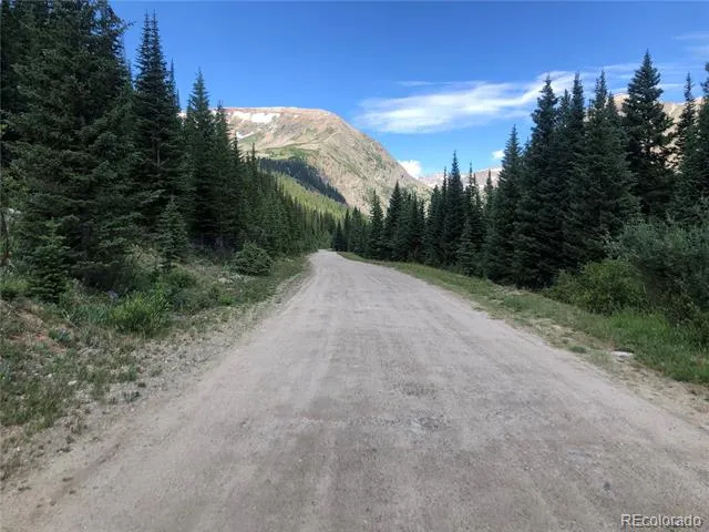 299 CR 805 Breckenridge, CO 80424