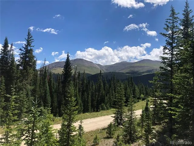 299 CR 805 Breckenridge, CO 80424