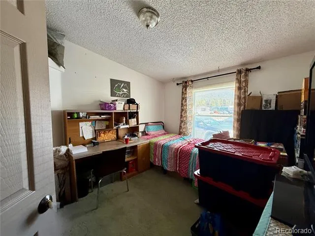 19773 US Highway 24 Leadville, CO 80461