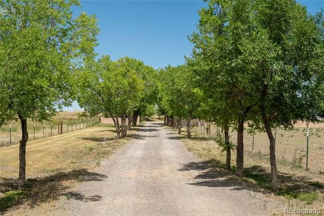 11743 County Road J Antonito, CO 81120