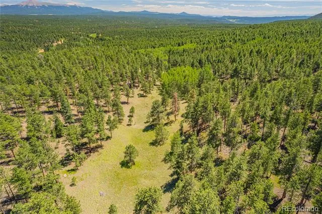 Lot 2 County Road 51 Florissant, CO 80816