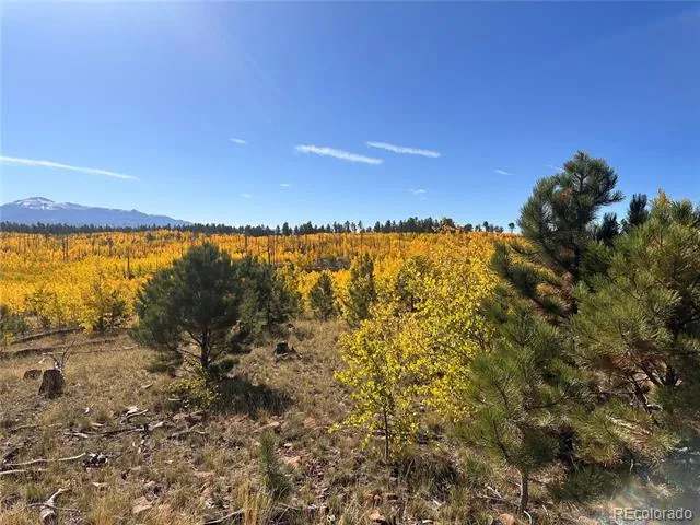 Lot 2 County Road 51 Florissant, CO 80816
