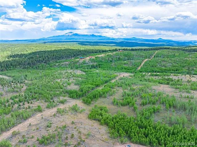 Lot 2 County Road 51 Florissant, CO 80816