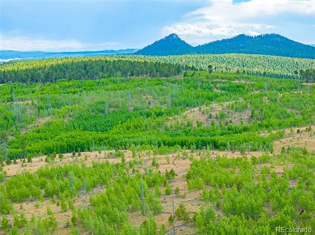 Lot 2 County Road 51 Florissant, CO 80816
