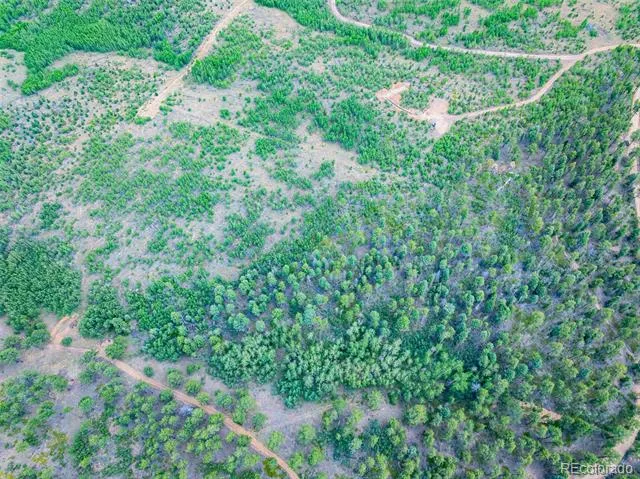 Lot 2 County Road 51 Florissant, CO 80816