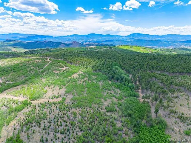 Lot 2 County Road 51 Florissant, CO 80816