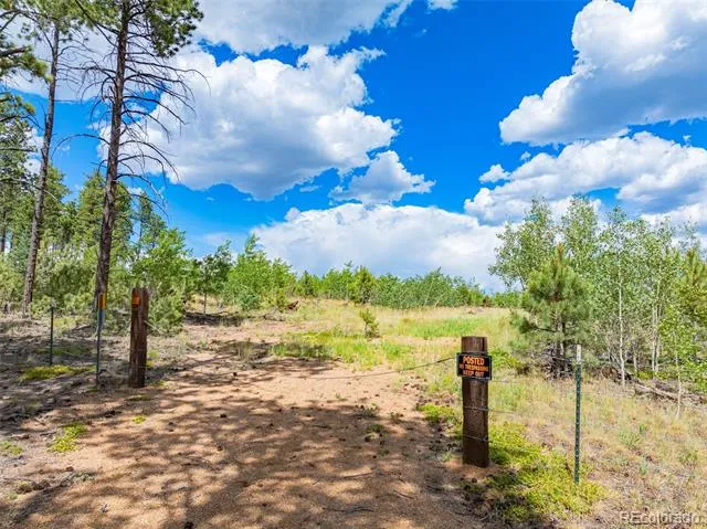 Lot 2 County Road 51 Florissant, CO 80816