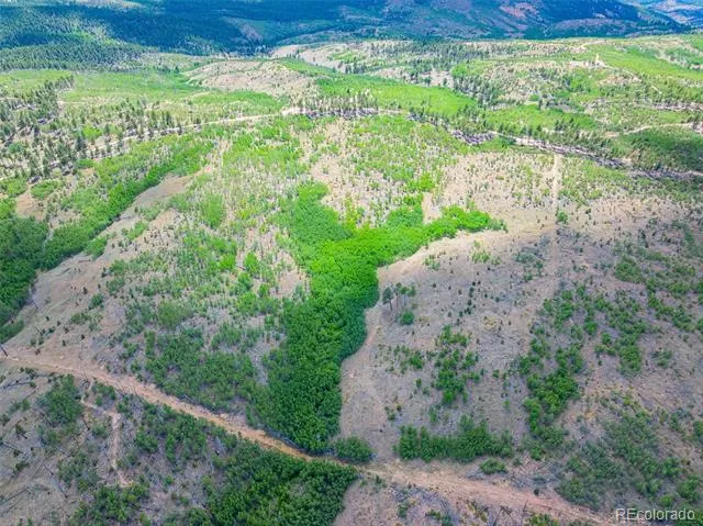Lot 2 County Road 51 Florissant, CO 80816