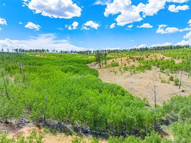 Lot 2 County Road 51 Florissant, CO 80816