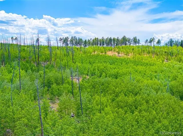 Lot 2 County Road 51 Florissant, CO 80816