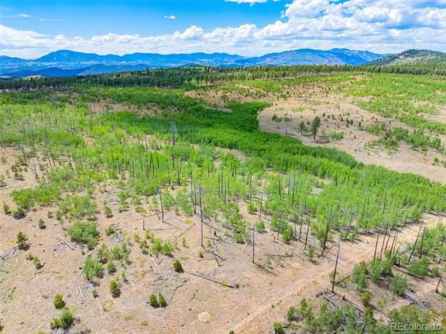 Lot 2 County Road 51 Florissant, CO 80816