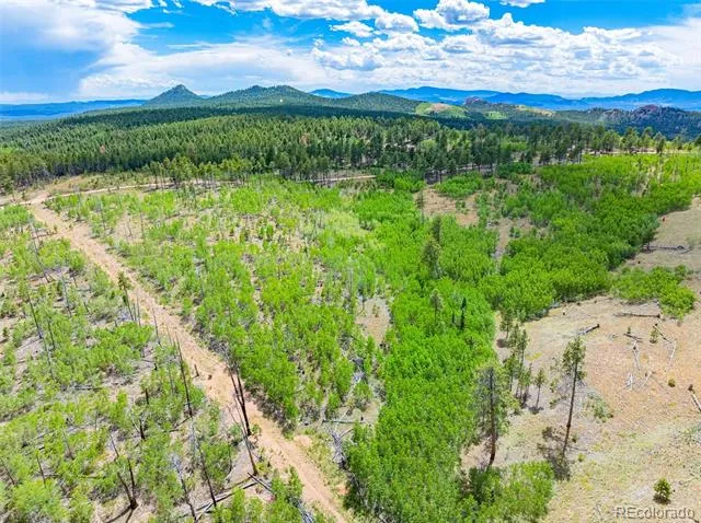 Lot 2 County Road 51 Florissant, CO 80816