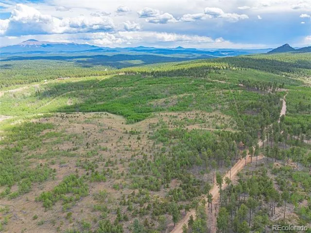 Lot 2 County Road 51 Florissant, CO 80816