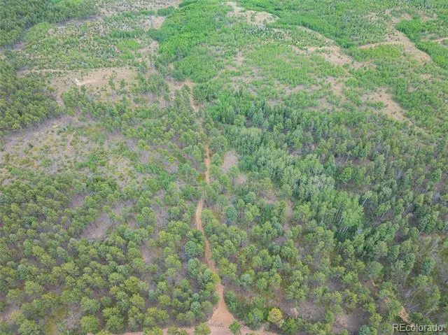 Lot 2 County Road 51 Florissant, CO 80816