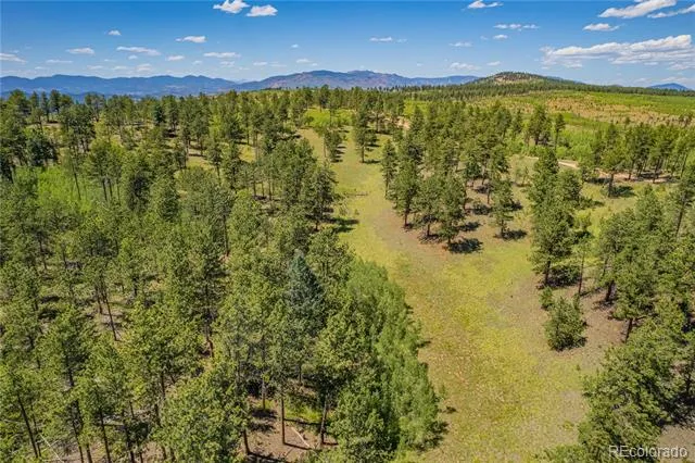 Lot 2 County Road 51 Florissant, CO 80816