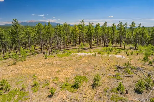 Lot 2 County Road 51 Florissant, CO 80816
