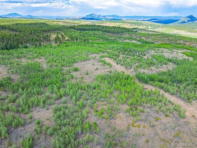 Lot 2 County Road 51 Florissant, CO 80816
