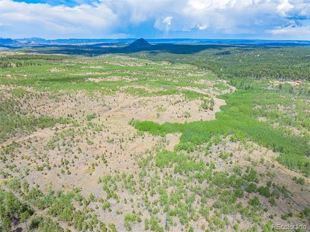 Lot 2 County Road 51 Florissant, CO 80816