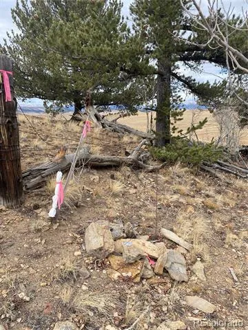157 Crow Court Como, CO 80432