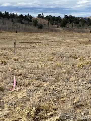 157 Crow Court Como, CO 80432