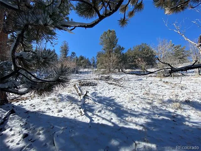 157 Crow Court Como, CO 80432