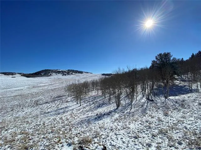 157 Crow Court Como, CO 80432