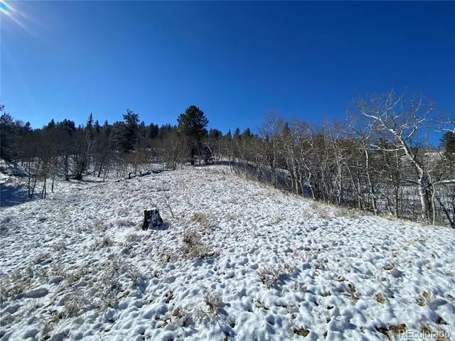157 Crow Court Como, CO 80432