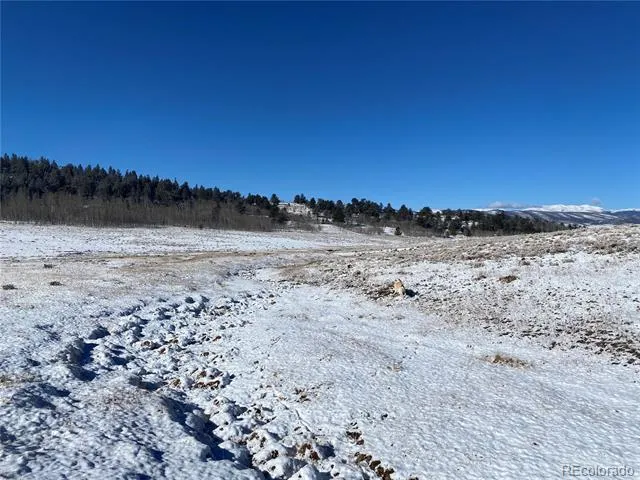 157 Crow Court Como, CO 80432