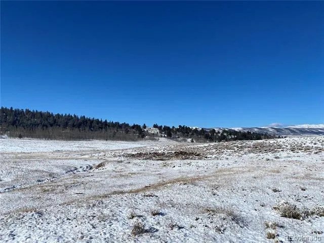 157 Crow Court Como, CO 80432