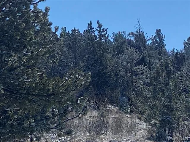 157 Crow Court Como, CO 80432