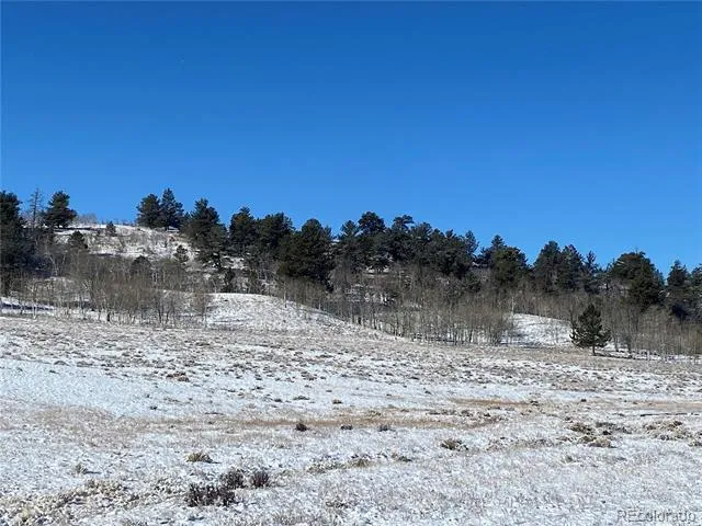 157 Crow Court Como, CO 80432