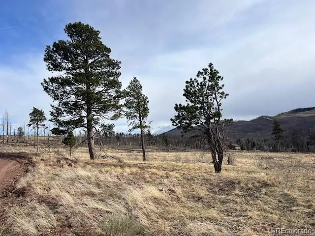 Lot 1020 & 1021 Hassan Lane Fort Garland, CO 81133